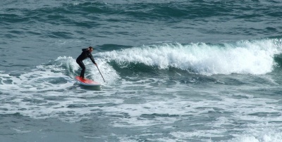 Paddle Surf