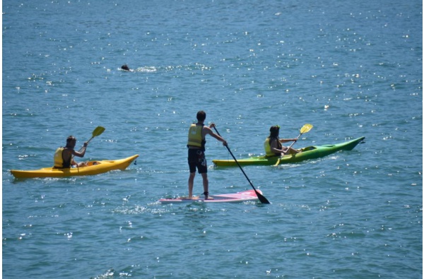 Paddle Surf