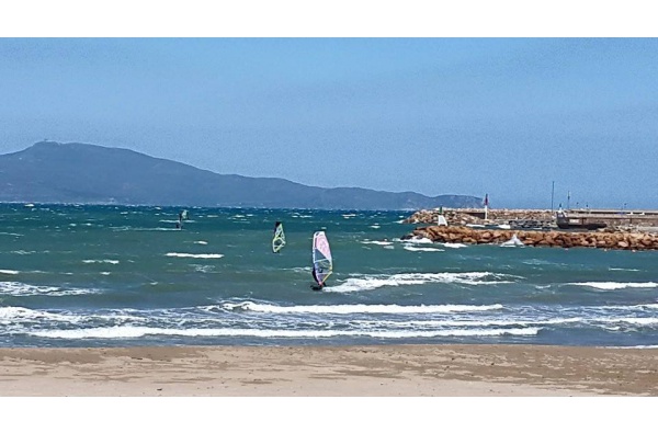 Windsurf i Surf