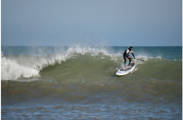 Windsurf i Surf