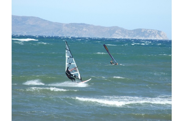 Windsurf i Surf