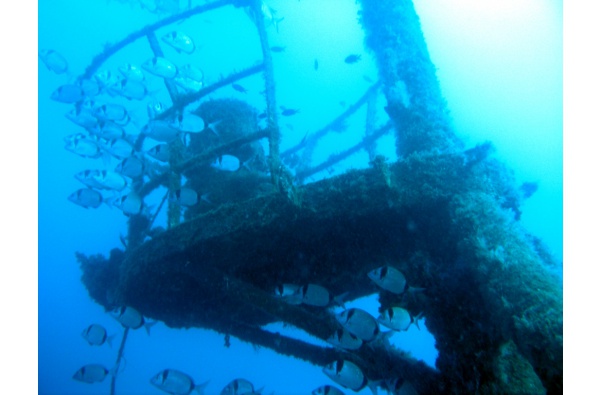 Plongée sous-marine