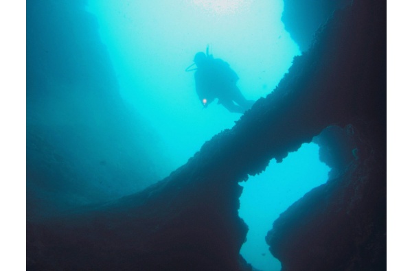 Plongée sous-marine