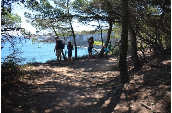 Un paseo por el litoral