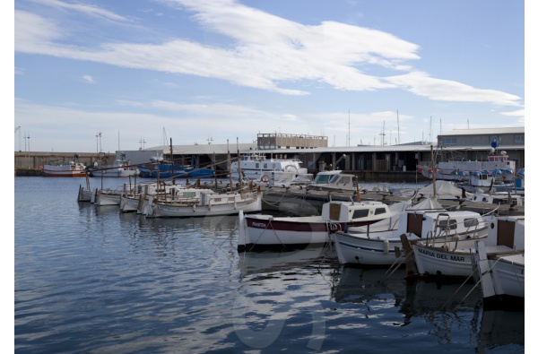 Confrérie de pêcheurs