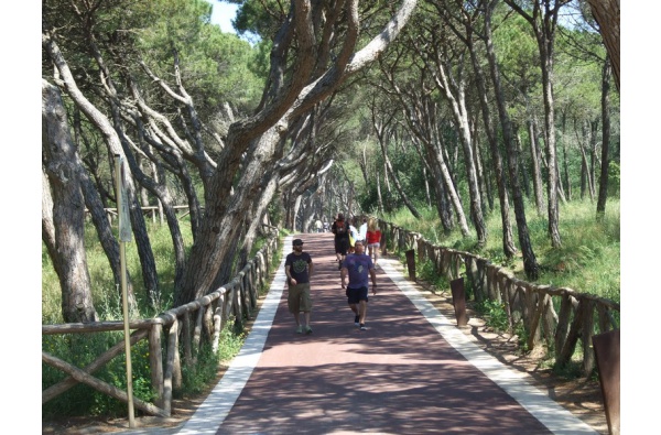 Passeig d'Empúries