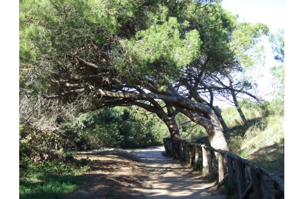 L'Escala i la Natura