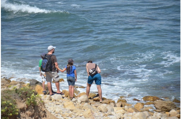 Excursions le long du littoral