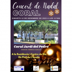 Concert de Nadal a 'Els Pins'