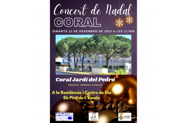 Concert de Nadal a 'Els Pins'