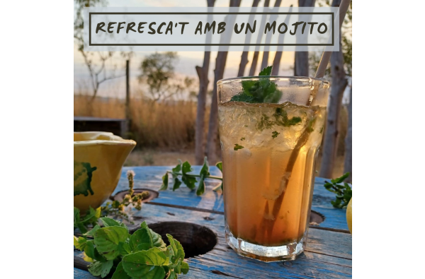 REFRESCA'T AMB UN MOJITO