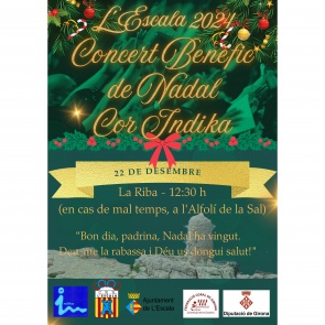 Concert Benèfic de Nadal 2024